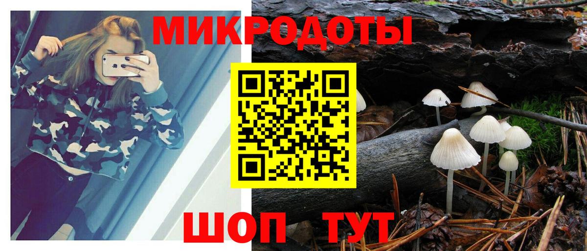 Галлюциногенные грибы Psilocybine cubensis  Вход с VPN  Горячий Ключ 