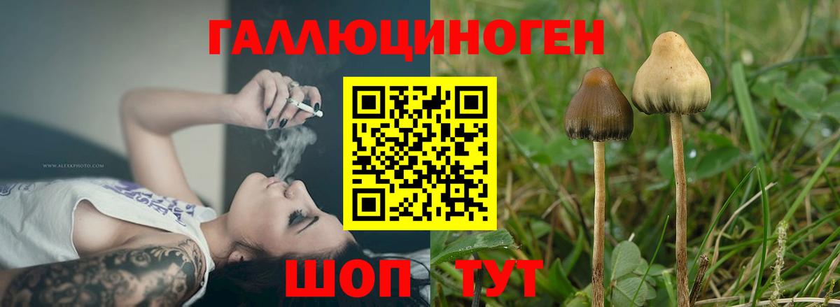 Галлюциногенные грибы MAGIC MUSHROOMS Горячий Ключ